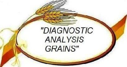 Analisi Previsionali